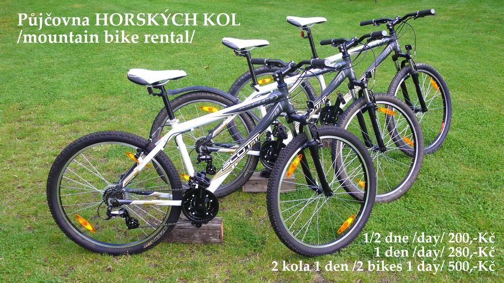 Penzion Fousek Zvíkovské Podhradí Kültér fotó